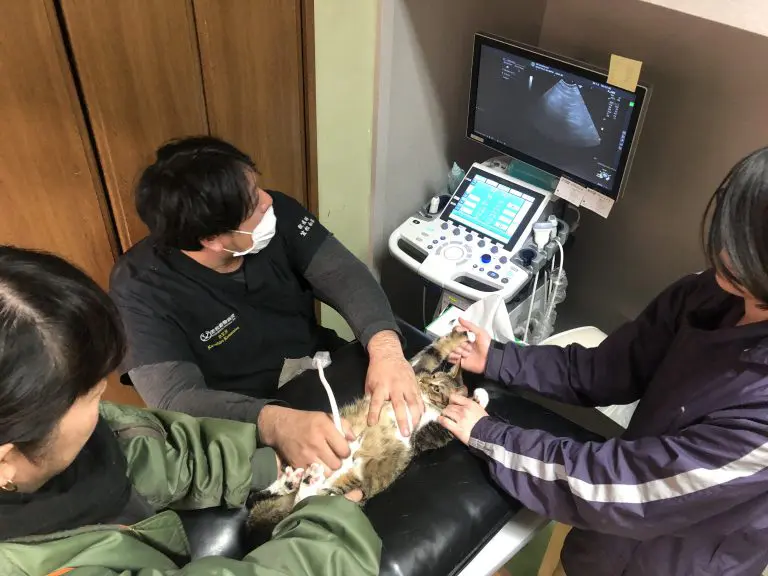 笠松動物病院
