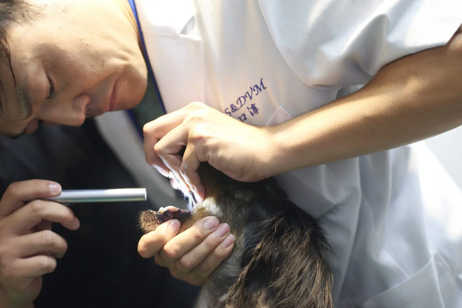 笠松動物病院