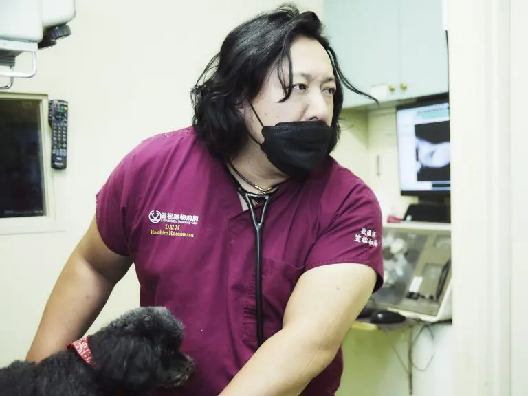 皮膚科・耳科診療 – 犬猫医療センター笠松動物病院