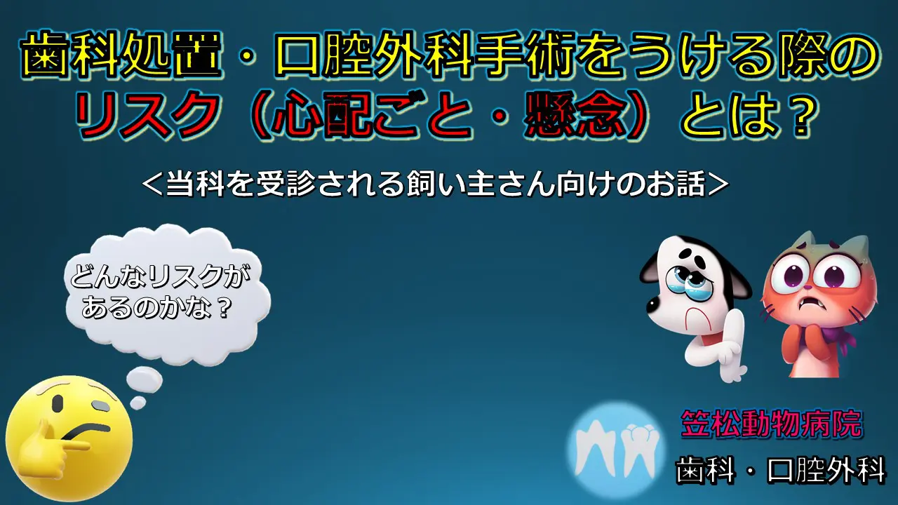 歯科処置・口腔外科手術をうける際のリスク（心配ごと・懸念すること）について – 犬猫医療センター笠松動物病院